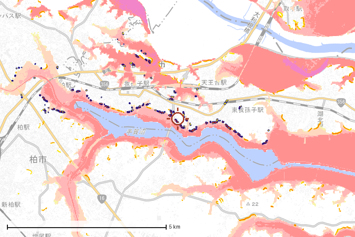 我孫子市周辺のハザード重ね図